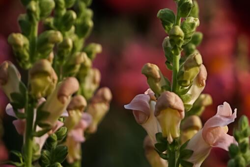 ����ݡ�����ͼ