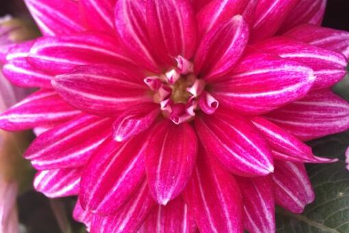 С������������