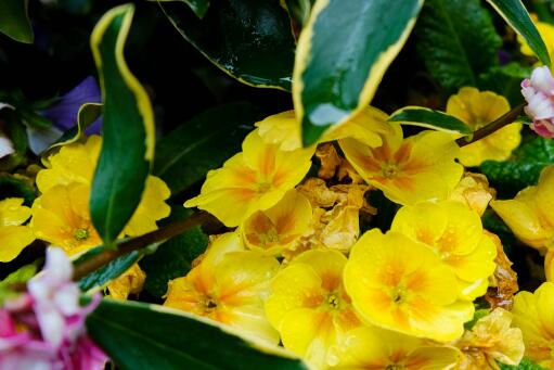 ������������ͼ