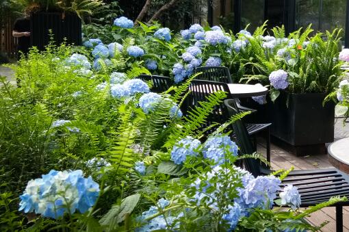 ���򻨡�����ͼ