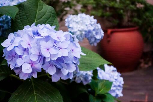 ���򻨡�����ͼ