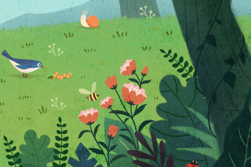 �ط�������ͼ