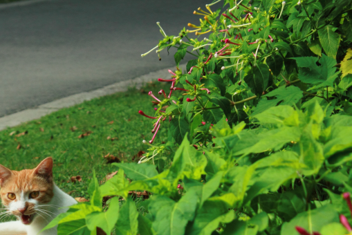 ҹ���㡪����ͼ