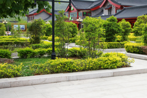 ҹ���㡪����ͼ