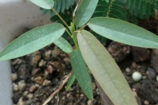 ����ݡ�������