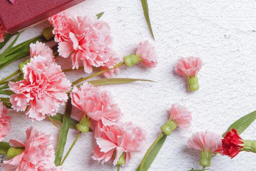 ����ܰ������ͼ