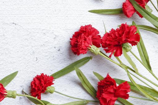 ����ܰ������ͼ