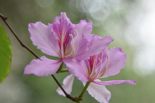 �Ͼ�������ͼ