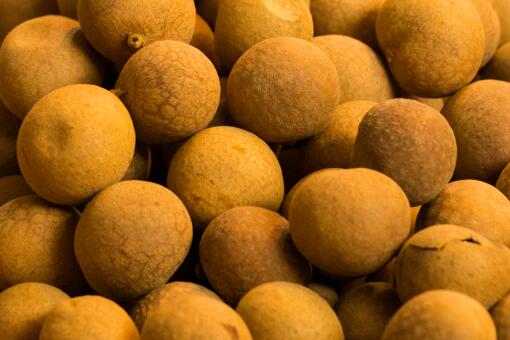 ��Բ��ʲô���Ĺ�ʵ-��ͼ��