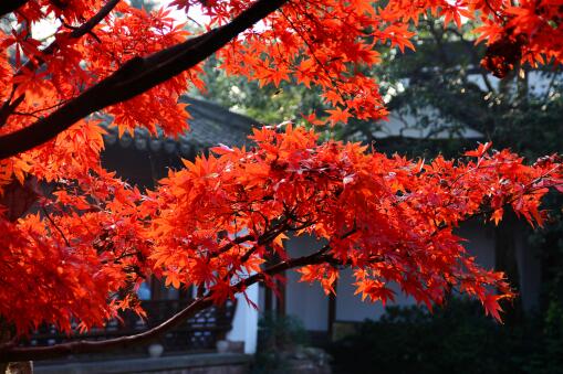 ��㡪����ͼ