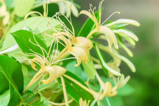 ������������ͼ