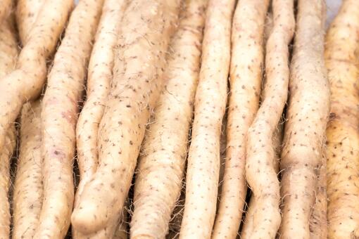 ɽҩʲôʱ���ֺ�-��ͼ��