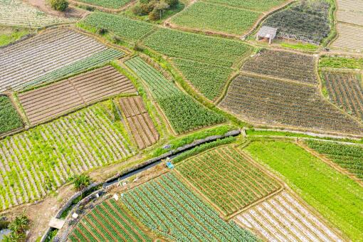 ũ����ֲ��ҶΥ����-��ͼ��