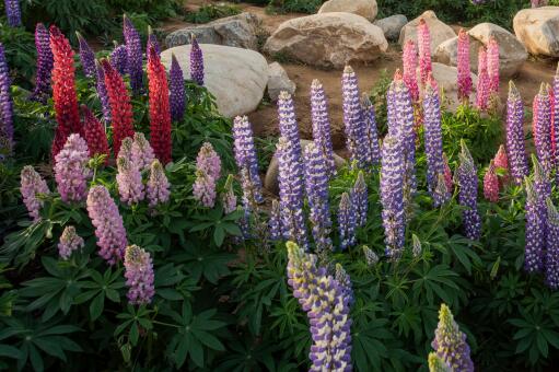 ³����������ͼ