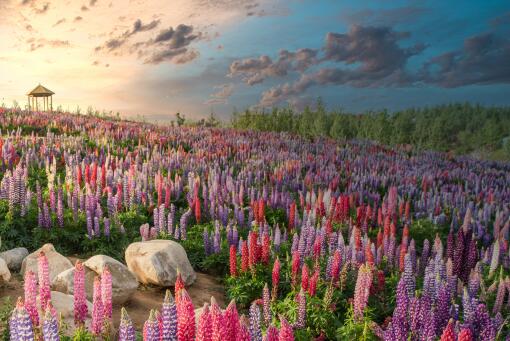 ³����������ͼ