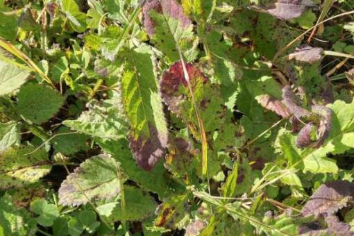 ܿ��ݡ�����ͼ