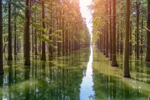 ˮɼ������ͼ