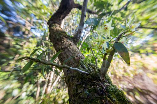 ��Ƥʯ������Ǯһ��-��ͼ��