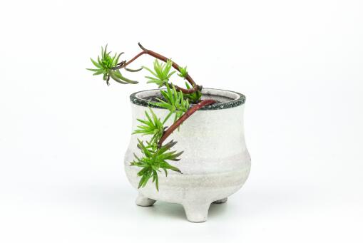 �޺��ɡ�����ͼ