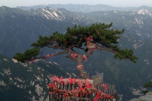 ���ɡ�����ͼ