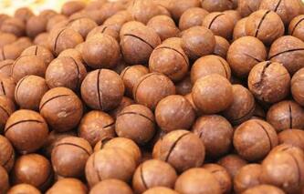 �����Ĺ�2