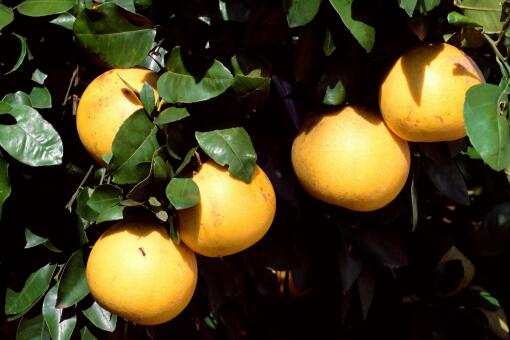 ���Ӷ���Ǯһ��-��ͼ��