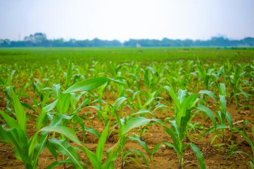 ����һ����ּ���-��ͼ��