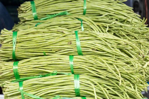 �������Ӷ���Ǯһ��-��ͼ��