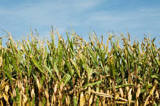 �а�200Ķ��������Ͷ�ʶ���-��ͼ��