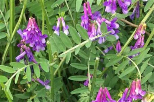 �ϻ���ޣ-����