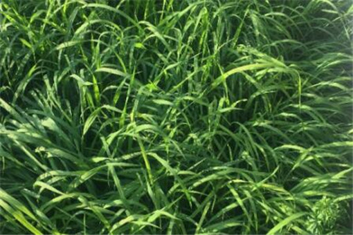 �����-����