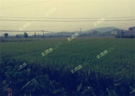 ũ��-�����