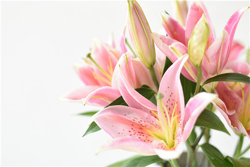 �ٺϻ�-��ͼ��