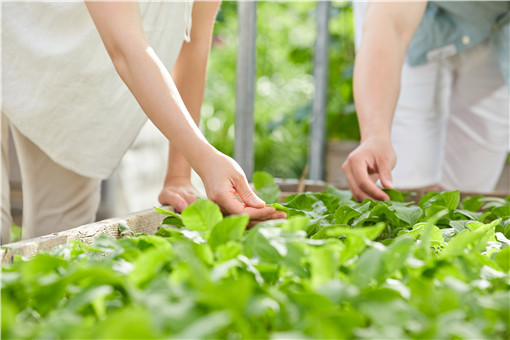 ���-��ͼ��