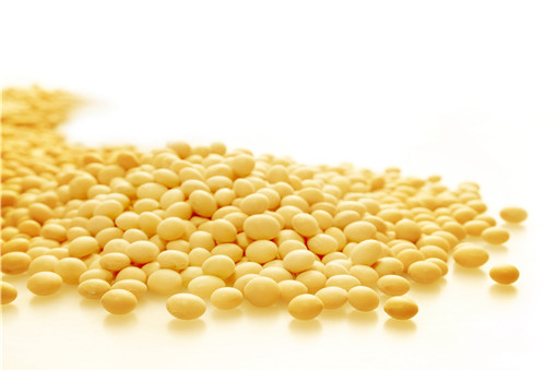 ��-��ͼ��