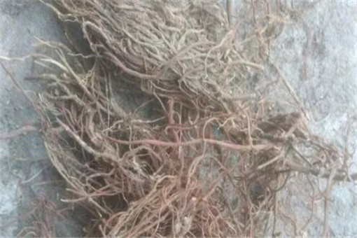 ������-��ͼ��