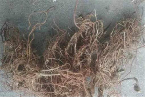 ������-��ͼ��