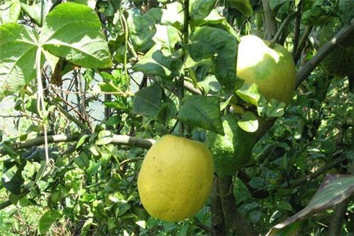 �㴪��-����