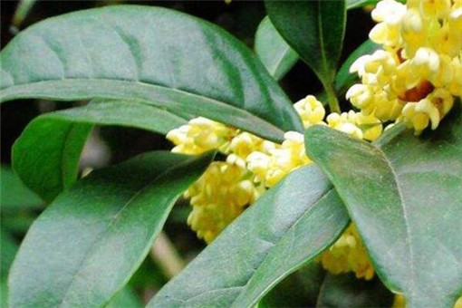 �㴪��-����