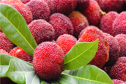 ��÷-��ͼ��