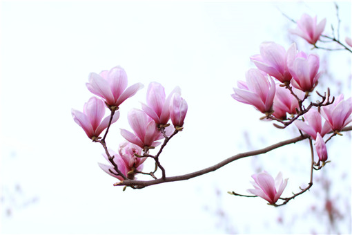 ����-��ͼ��