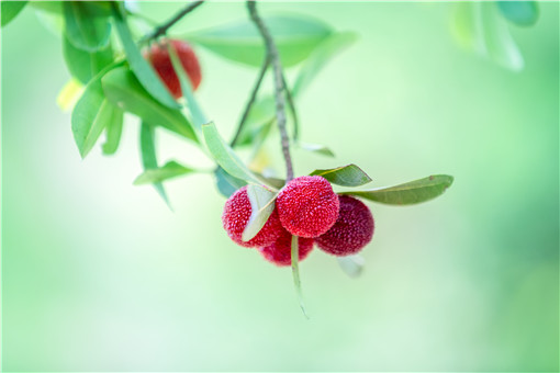 ������÷-��ͼ��