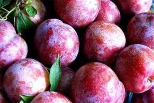 õ����-����