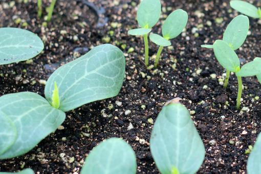 �����硪����ͼ