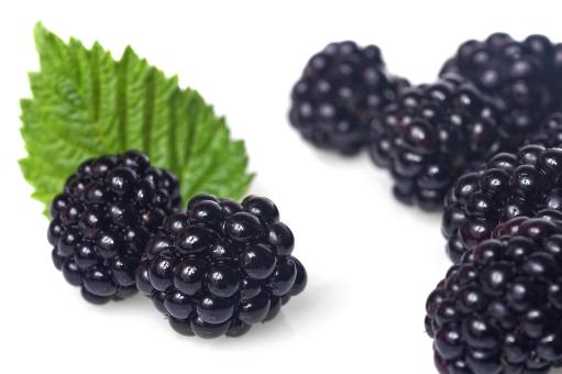 ��ݮ������ͼ