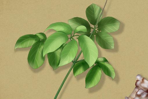 ���ߡ�����ͼ