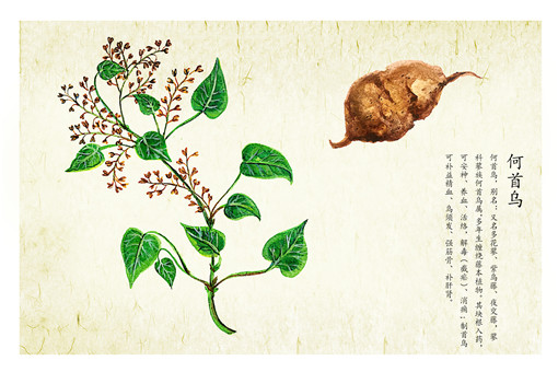 ������-��ͼ��