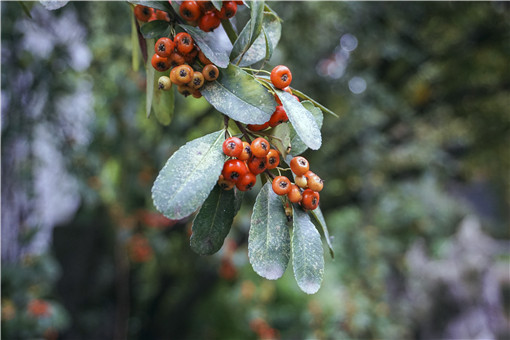 ����-��ͼ��