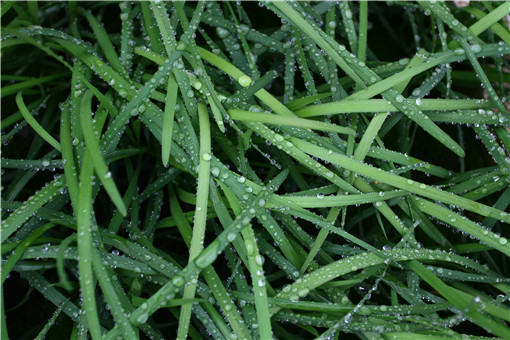 �²�-��ͼ��