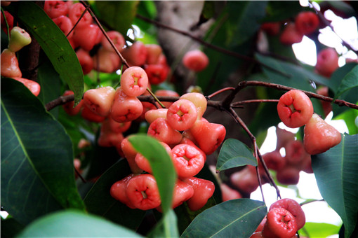 ������-��ͼ��